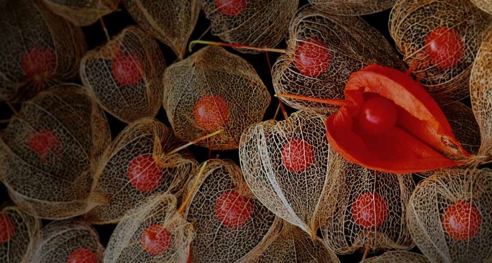 ChinesePaperLantern