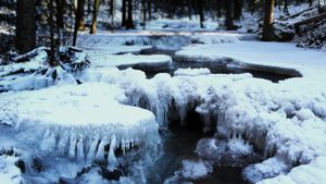 德国巴伐利亚森林国家公园的结冰小溪 (© Bernadette Schoeller/Getty Images)(Bing China)