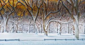 纽约暴风雪后的中央公园 (© Mitchell Funk/Getty Images) &copy; (Bing China)