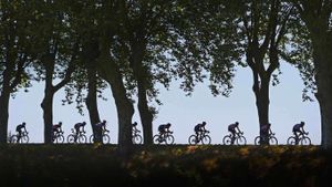 2016年环法自行车赛中骑在绿树成荫的道路上的选手 (© Michael Steele/Getty Images Sport)(Bing China)