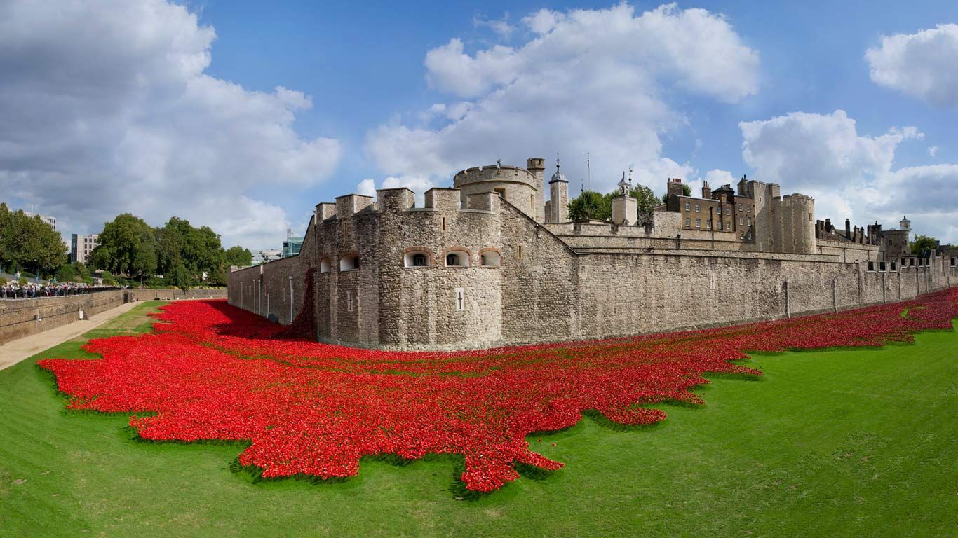 Tower of London surrounded by ceramic poppies, art installation created by Paul Cummins in honour of the 100th anniversary of the beginning of World War I, London, England