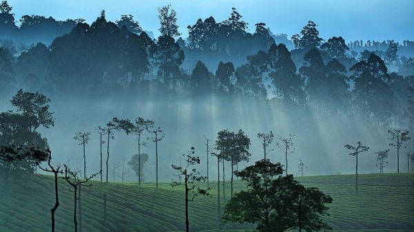 Western Ghats, India