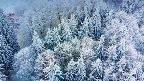 Borovets mountain resort, Bulgaria