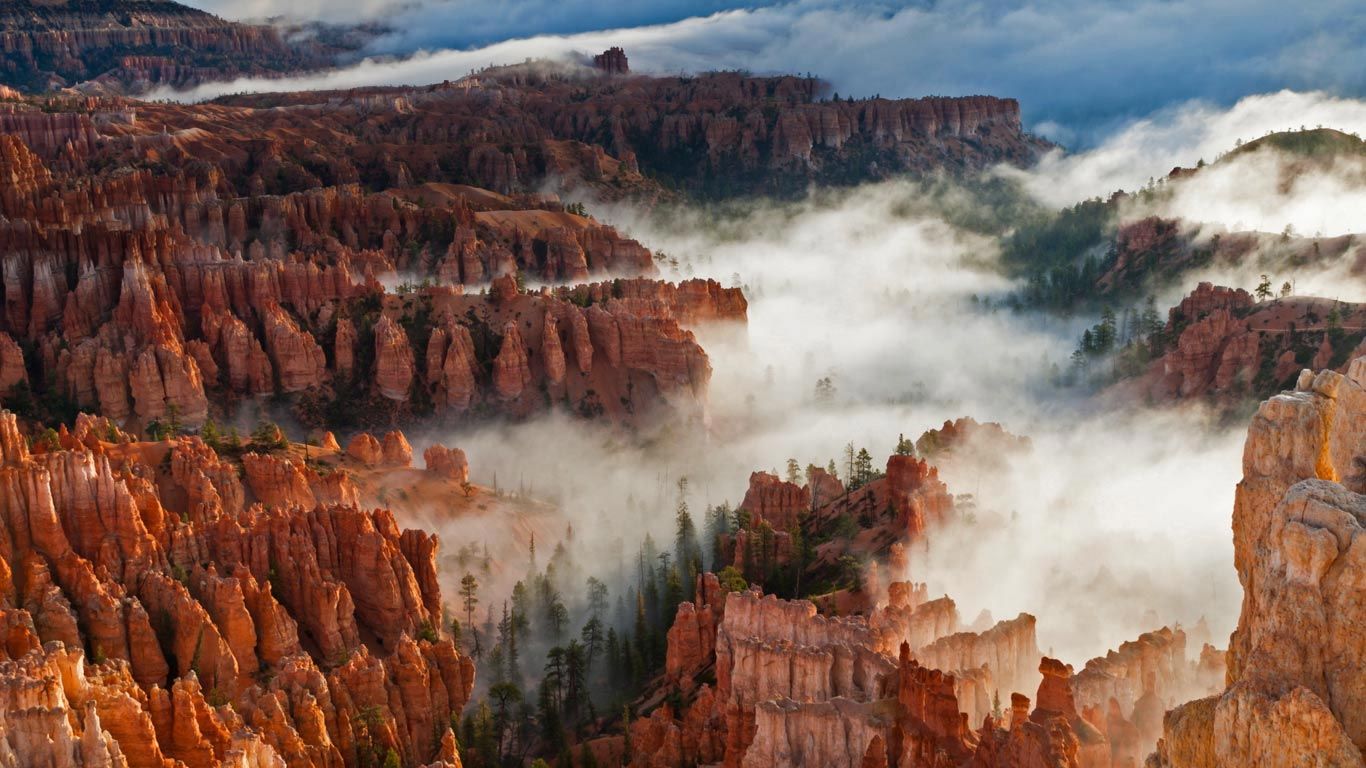 Pinnacles and hoodoos with fog in Bryce Canyon National Park, Utah