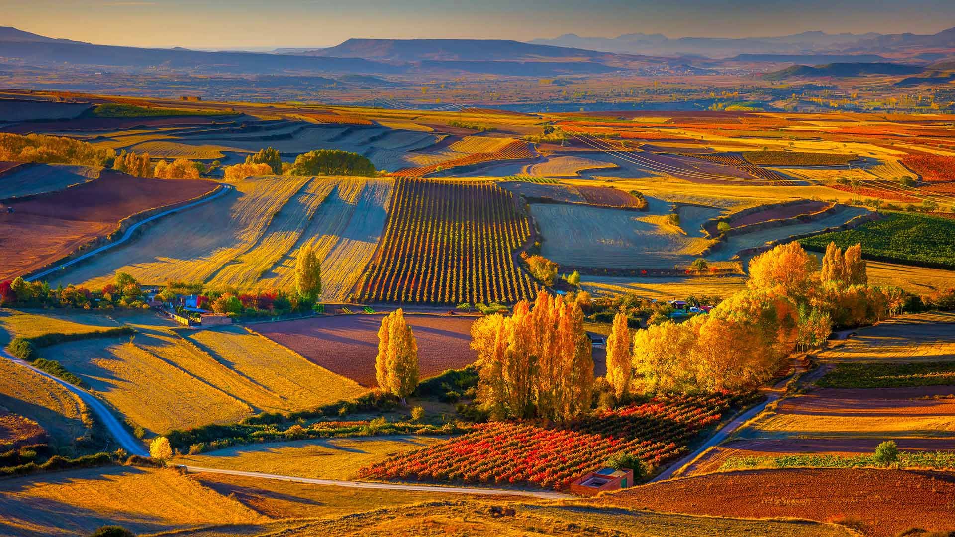 Autumnal landscape near the town of Clavijo in Spain\'s Rioja district