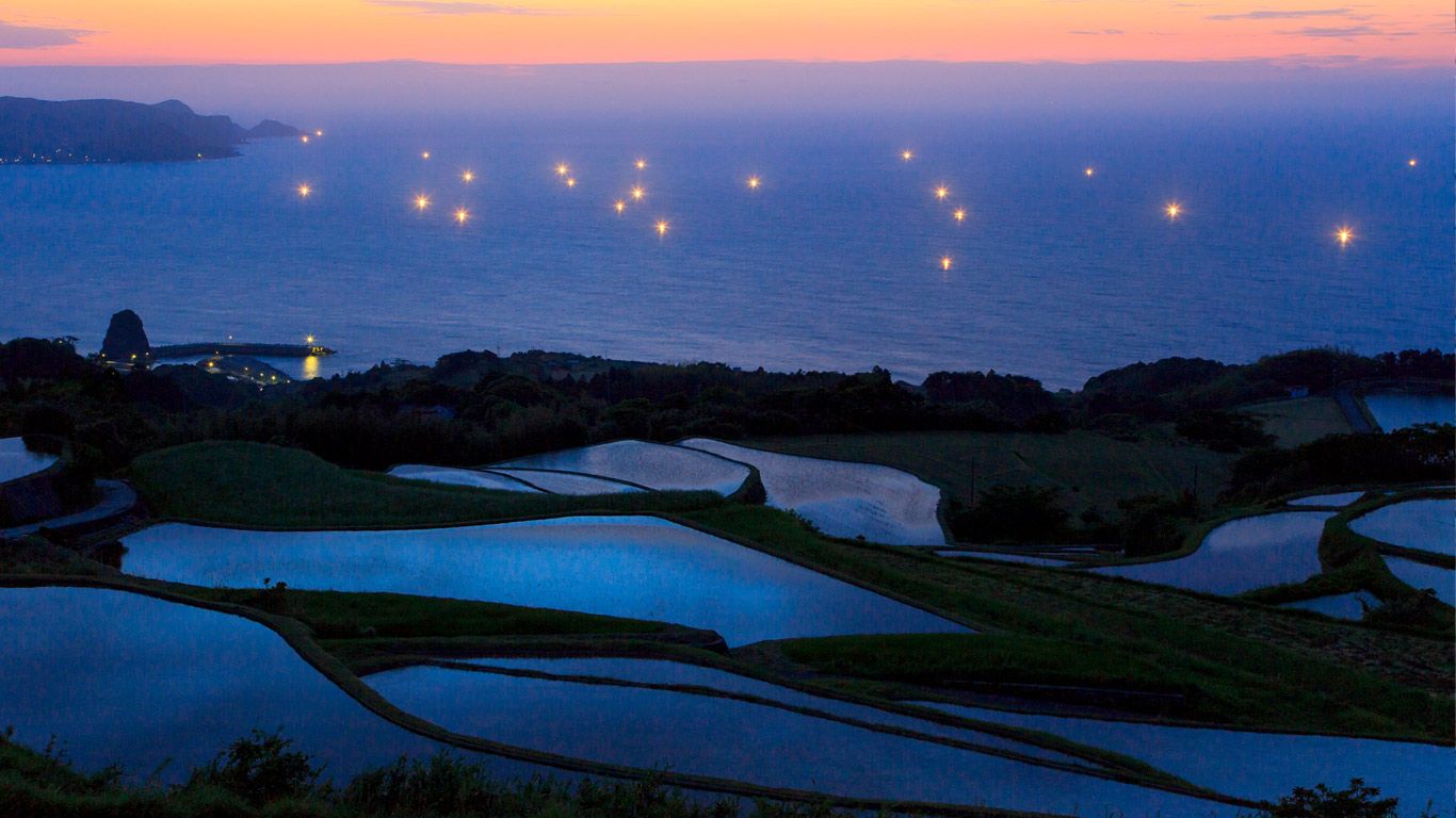 Terraced rice fields and lights of fishing boats, Japan