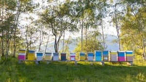Colourful beehives, Italy (© Roberto Caucino/Shutterstock)(Bing Canada)
