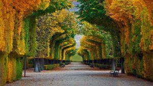 Schönbrunn Palace gardens in Vienna, Austria (© badahos/Shutterstock)(Bing Australia)