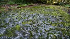 Ancient rock carvings at Petroglyph Provincial Park in Nanaimo, Canada (© Chase Clausen/Shutterstock)(Bing Canada)