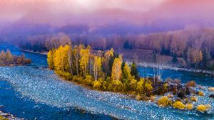 禾木村的风景，新疆，中国 (© snvv18870020330/Shutterstock)(Bing China)