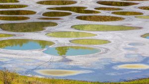 ｢スポッティド湖｣カナダ, ブリティッシュコロンビア (© Galyna Andrushko/Shutterstock)(Bing Japan)