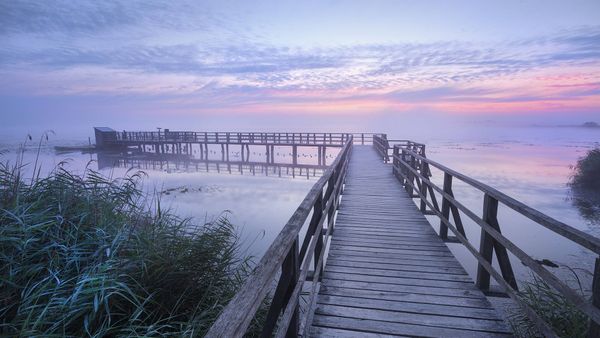 Der Federseesteg in der Morgendämmerung nahe Bad Buchau, Baden-Württemberg, Deutschland