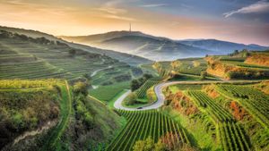 Ansicht eines landwirtschaftlichen Feldes, Kaiserstuhl, Baden-Württemberg (© EyeEM Mobile GmbH/Getty Images)(Bing Deutschland)