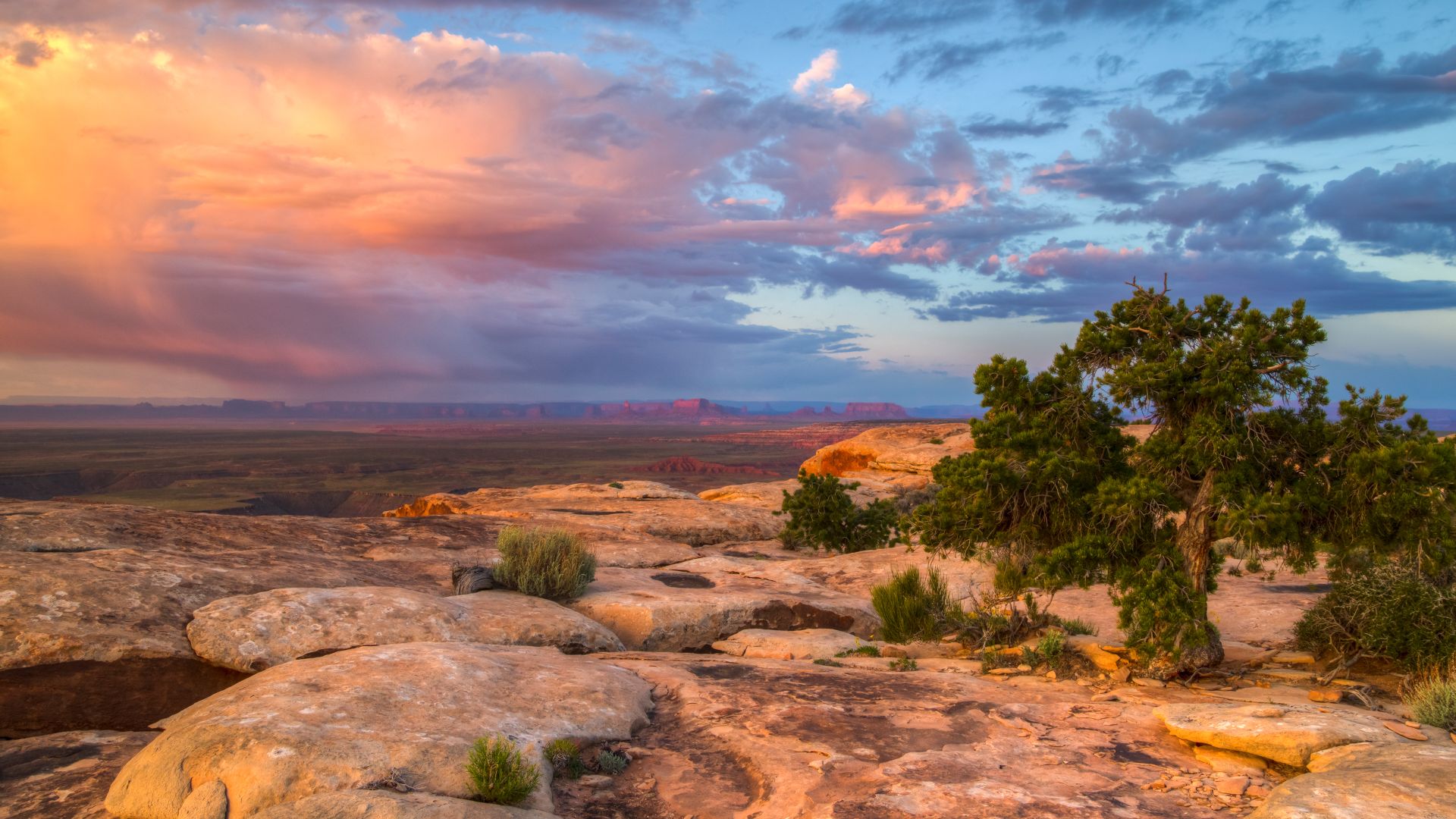 Cedar Mesa and Muley Point near Bears Ears National Monument, Utah, United States