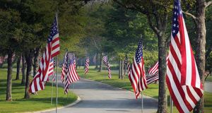 Flags line the entrance of the Massachusetts National Cemetery in Bourne, Cape Cod, Massachusetts -- Michael Neelon/age fotostock &copy; (Bing United States)