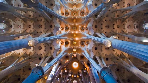 Ceiling of the Sagrada Família in Barcelona, Spain