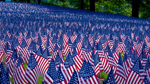 Field of flags displayed for Memorial Day, Boston, Massachusetts