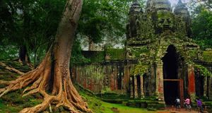 West gate of Angkor Thom, Cambodia (© Alex Williams) &copy; (Bing Australia)
