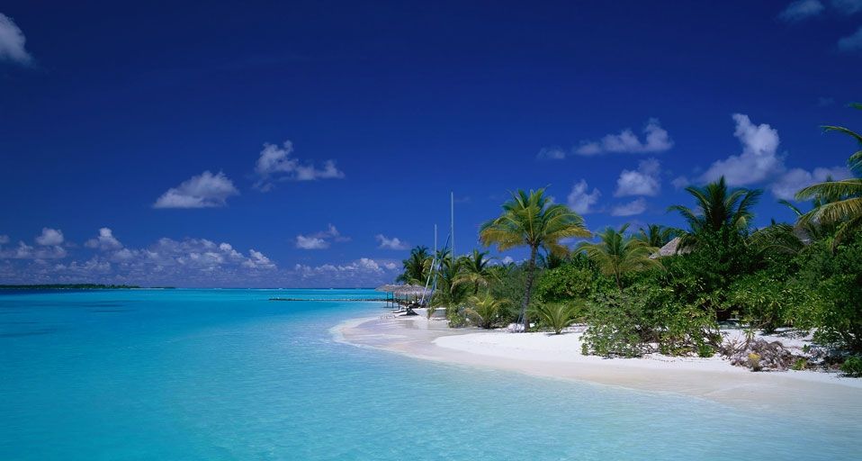 pure1-00028034-001 (pl)Description: Palm trees on the beach of Ari Atoll, Maldives