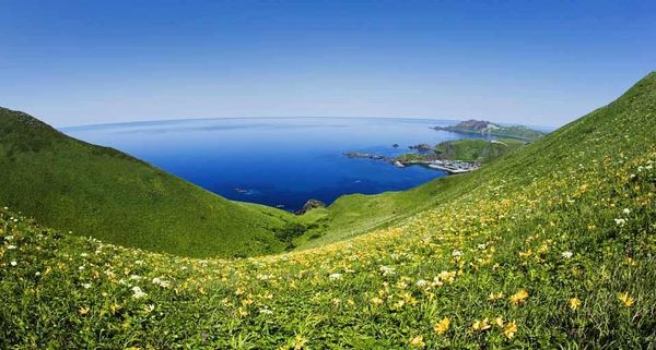 CapeSukai