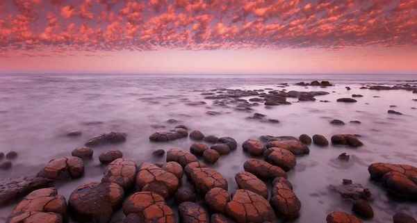 Stromatolites