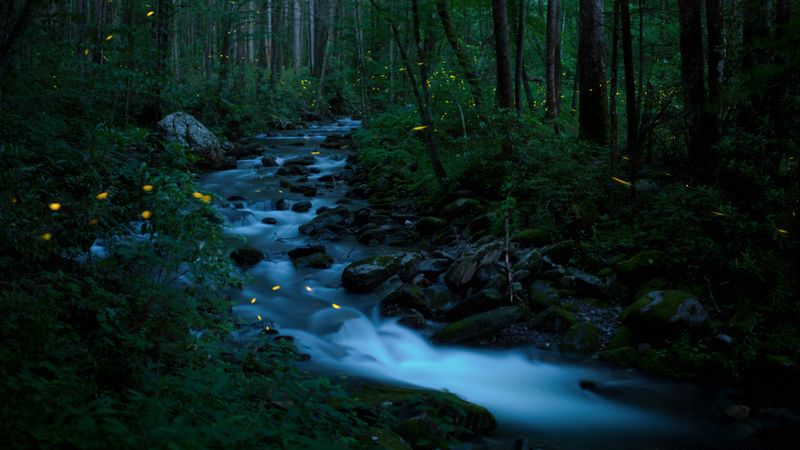 Bing Wallpaper Archive Bing Wallpaper Archive