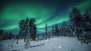 加拿大西北地区，耶洛奈夫上空的北极光 (© Getty Images)(Bing China)