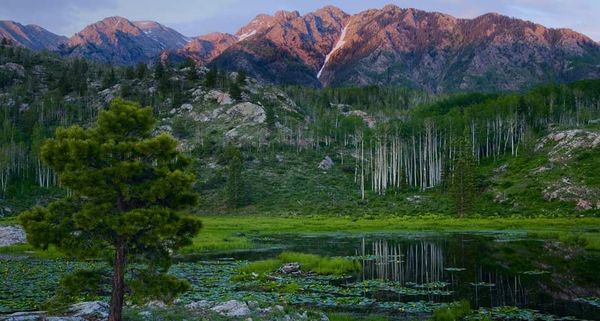 The peaks of the San Juan Mountains, part of the Rocky Mountains, rise above a beaver pond  in southwest Colorado