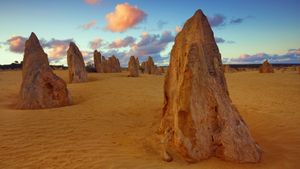 ｢ピナクルズ砂漠｣西オーストラリア, ナンバン国立公園 (© Frank Krahmer/Getty Images Plus)(Bing Japan)