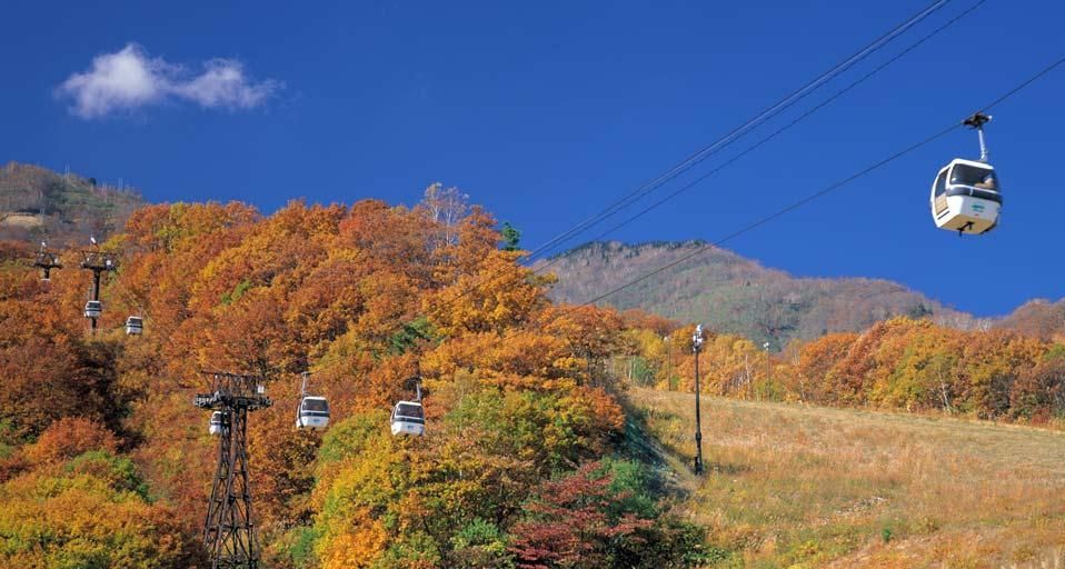 TsugaikeNaturalPark