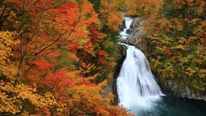 紅葉に包まれた法体の滝, 秋田県 由利本荘市 (© nattya3714/Getty Images)(Bing Japan)