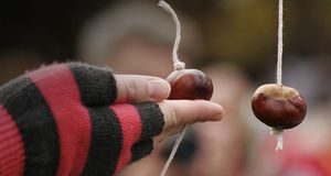 People take part in the annual World Conker Championships, near Oundle, Northamptonshire (© Emma Wood/Photolibrary) &copy; (Bing United Kingdom)