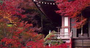 ｢毘沙門堂｣京都, 山科区 (© JTB Photo/Japan Travel Bureau/Photolibrary) &copy; (Bing Japan)