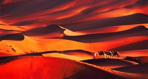 携程&MSN十年旅行摄影大赛作品精选：新疆塔克拉玛干沙漠 -- 潘若巍/上海 &copy; (Bing China)