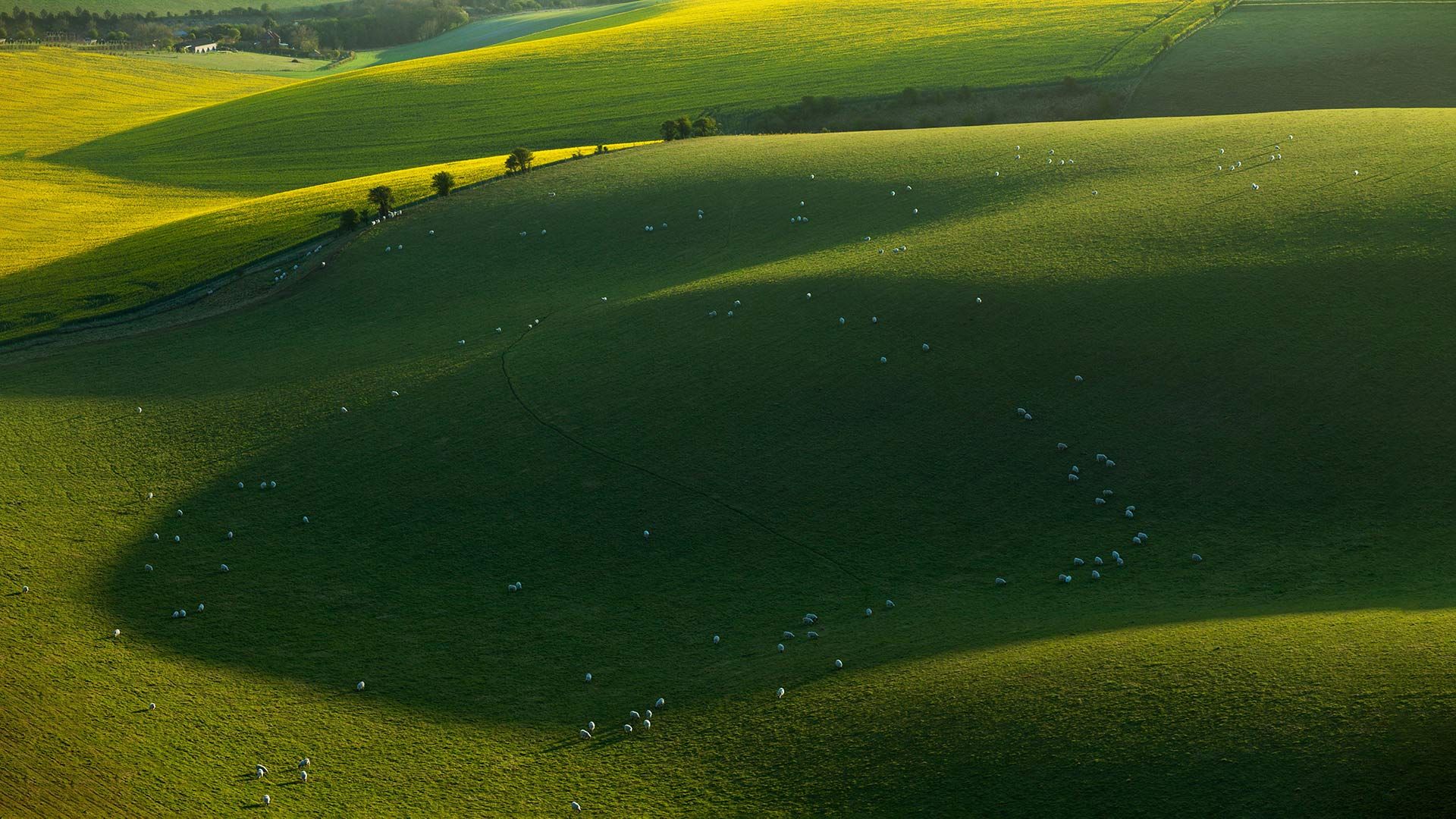 Spring morning in South Downs National Park, East Sussex