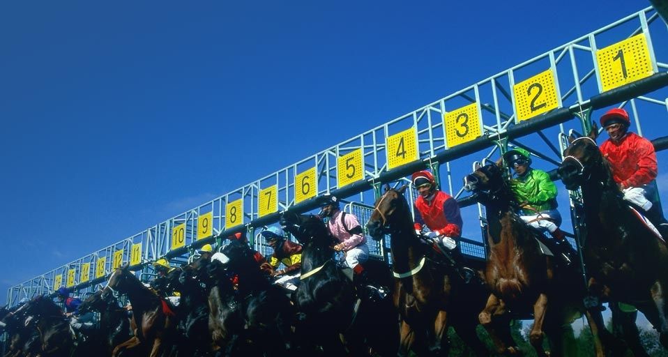 Jockeys leaving the starting gate