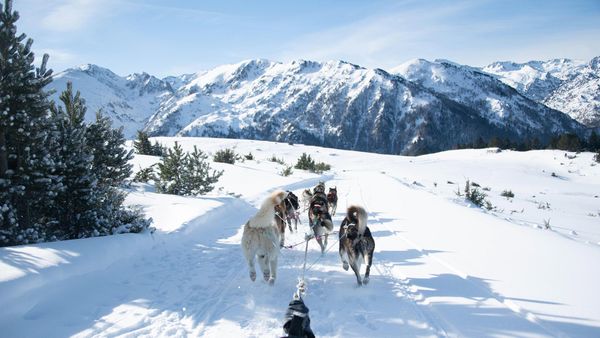 Vue depuis un traîneau tiré par des chiens au milieux des montagnes, Les Cabannes, Occitanie, France