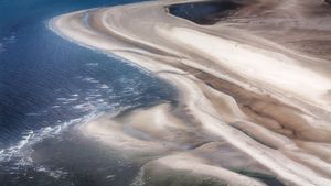 Schleswig-Holstein Wadden Sea National Park, Germany (© 3quarks/Getty Images)(Bing New Zealand)