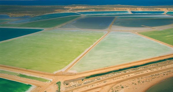 SaltPans