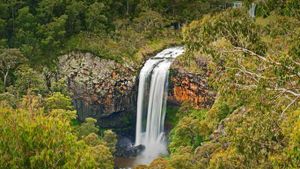 Cascade d’Ebor Falls, Parc national de la rivière Guy Fawkes, Australie. (© Ingo Oeland/Alamy)(Bing France)