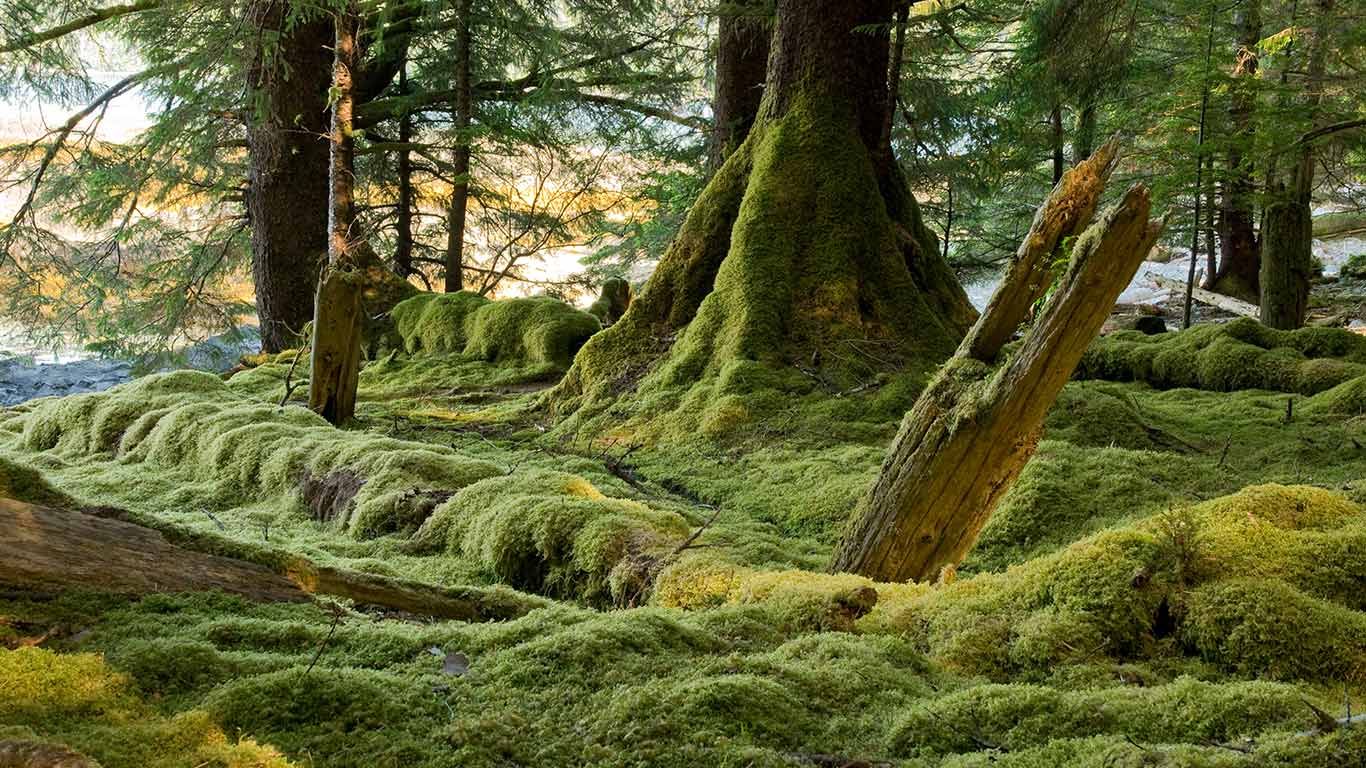 Gwaii Haanas National Park Reserve, Haida Gwaii, B.C., Canada