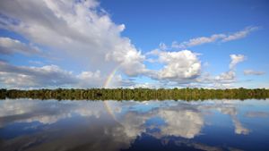 内格罗河，亚马逊河流域，巴西 (© Timothy Allen/Getty Images)(Bing China)