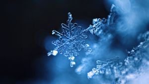 Flocon de neige (© TothGaborGyula/Getty Images Plus)(Bing France)