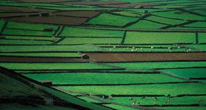 Farmland with stone walls on Terceira Island in the Azores, Portugal -- Canabi Hugo/Photolibrary &copy; (Bing United States)