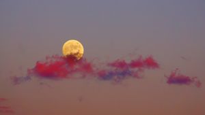 ｢夕焼けに映える月｣ (© kanzilyou/iStock/Getty Images Plus)(Bing Japan)