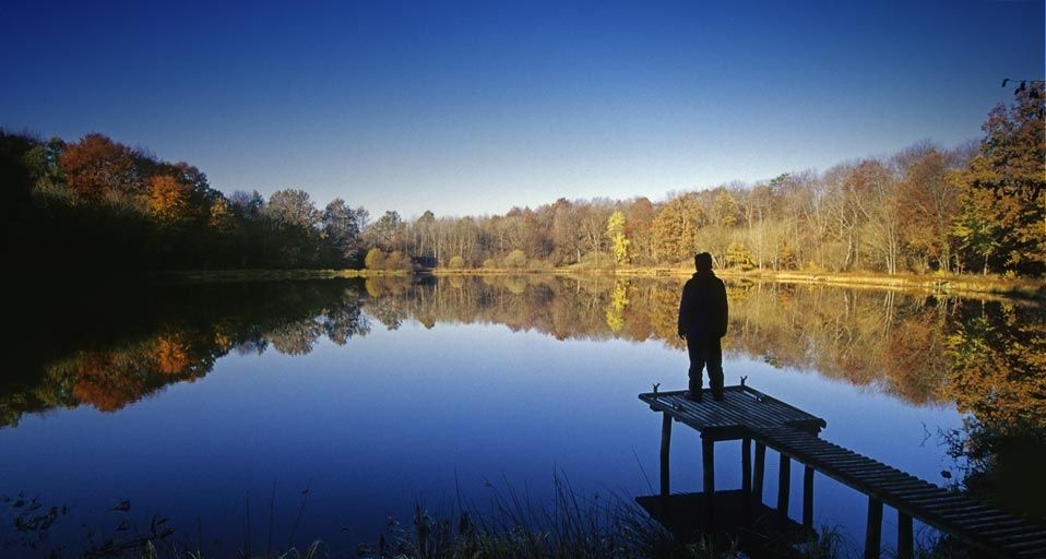 Ein Angler genießt die herbstliche Stimmung am Windsborner Kratersee bei Bettenfeld in der Eifel, Rheinland-Pfalz