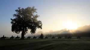 Cavaliers et leurs chevaux au petit matin, Chantilly, France (© Agencja Fotograficzna Caro/Alamy Stock Photo)(Bing France)