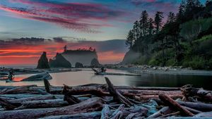 Sunset at Ruby Beach in Olympic National Park, Washington state (© Adam Mowery/Tandem Stills + Motion)(Bing New Zealand)