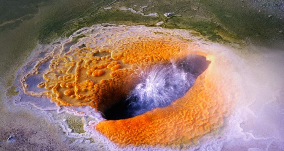 Hot spring on the Porcelain Terrace at Norris Geyser Basin, Yellowstone National Park, Wyoming