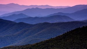 Great Smoky Mountains National Park, Tennessee (© Mint Images/Getty Images)(Bing United States)